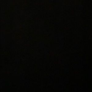 Meet your Posher, Izzy